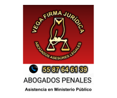 ABOGADOS PENALISTAS 55 87 64 61 39 CUAUTITLAN