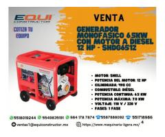 Venta de Generador Monofásico 6.5KW con Motor a Diésel 12 HP - SHDG6512.