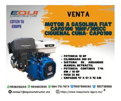 Venta de Motor a Gasolina Fiat CAPO100 10HP/305CC Cigueñal CUNA-CAPO100.