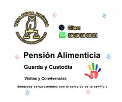 PENSIÓN ALIMENTICIA 55 65 89 60 21 ABOGADOS FAMILIARES EN CUAUTITLÁN