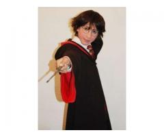 magia sorprendente con Harry Potter