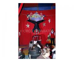 Circo garabatos lo mejor para tus eventos