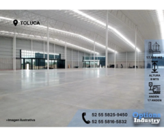 TOLUCA ALQUILER BODEGA