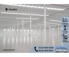 TOLUCA ALQUILER DE BODEGA