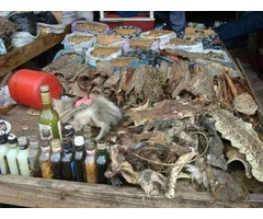 TRADITIONAL HEALER ✯ [+2776’4410’726] SANGOMA in Modimolle, Zebediela, Senwabarwana, Dendron, Naboom