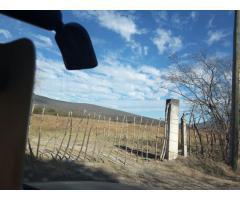 terreno de inversion sobre carretera a nexpa