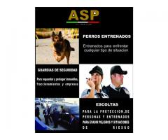 servicios de seguridad