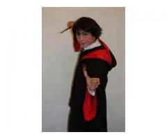 harry potter en tu fiesta show y animacion