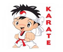 Solicito Profesores de Karate