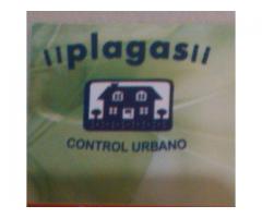 plagas control urbano