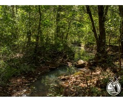 SIERRA MAZATI TERRENOS EN TAPALPA