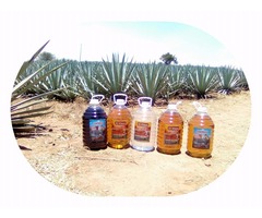 TEQUILA HACIENDA DEL VIEJON