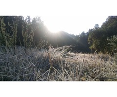 Cabaña en el bosque. Vive diferente, realiza ese sueño ahora.