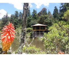 Cabaña en el bosque. Vive diferente, realiza ese sueño ahora.