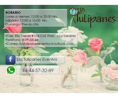 LOS TULIPANES EVENTOS