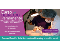 Curso micropigmentación con certificado de la secretaría del trabajo