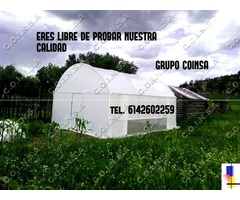 ofertas de invernaderos coinsa