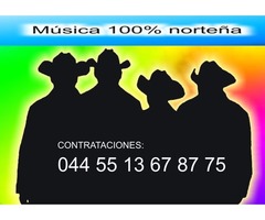 GRUPO NORTEÑO 044 55 13 67 87 75