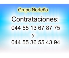 GRUPO NORTEÑO 044 55 13 67 87 75