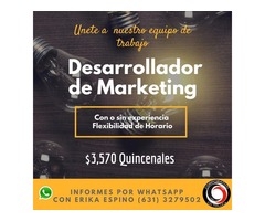 corporativo CD Toluca ofertas de trabajo desarrollador de marketing