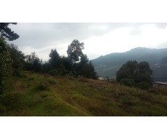 Terreno Vista Panoramica Zona Boscosa en Piedra Grande