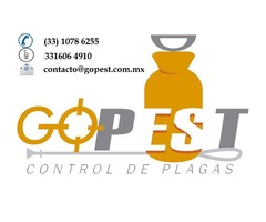 Fumigaciones Go-Pest