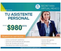 ASISTENTE VIRTUAL desde $ 980 pesos mensuales