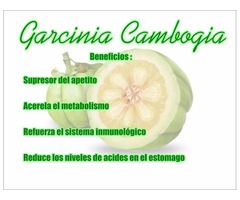 Garcinia Cambogia