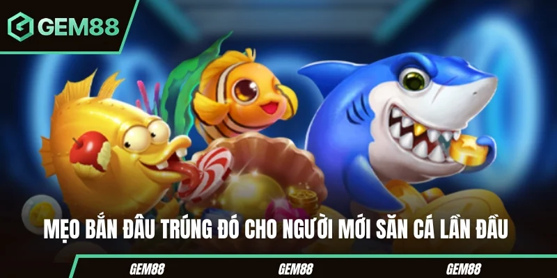Bắn Cá H5 - Cách Chơi, Mức Đạn & Mẹo Cho Người Mới Những mẹo bắn cá H5 cần hiểu đúng