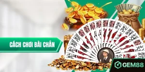 Cách Chơi Bài Chắn – Hướng Dẫn Chi Tiết Dành Cho Tân Binh